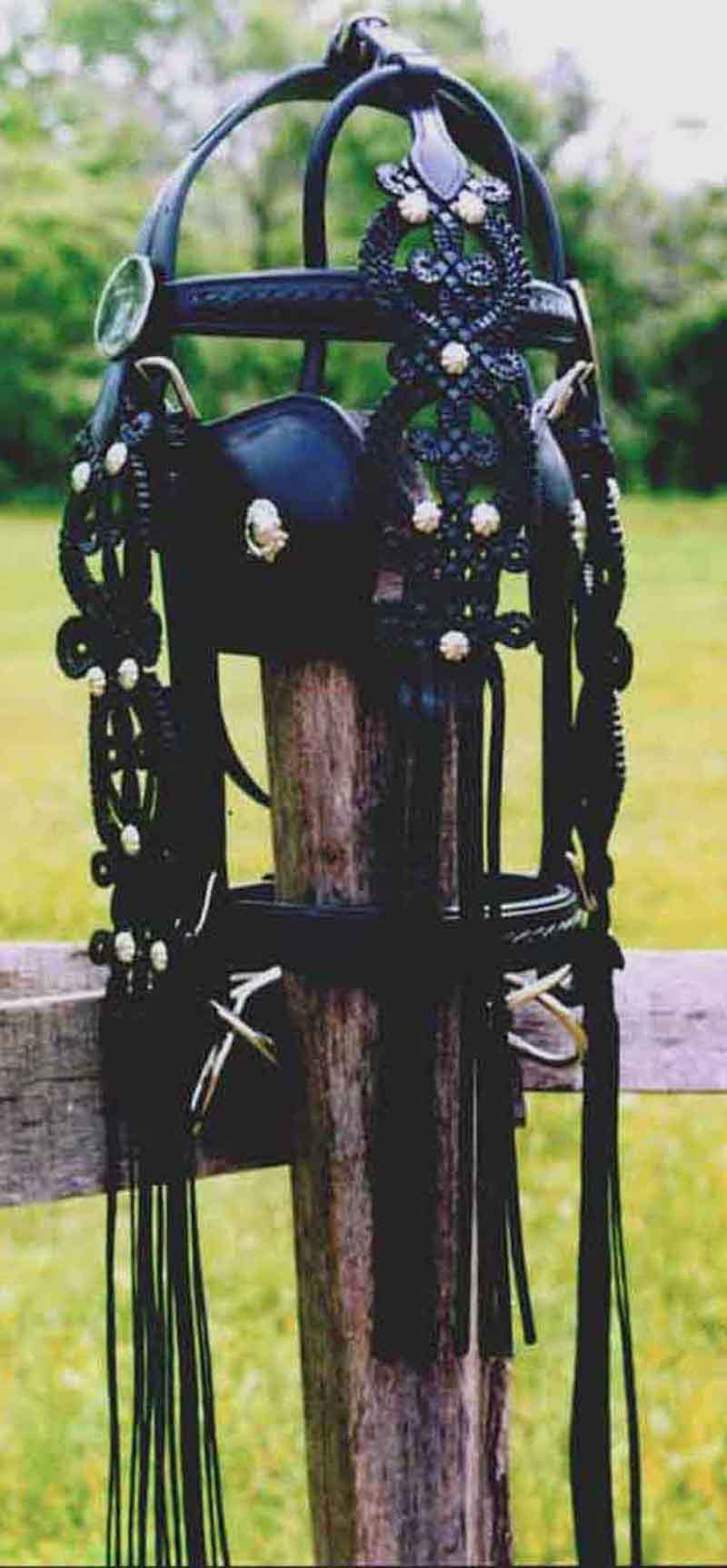 http://www.qsaddlery.hu/Photo/BRIDLES_PHOTO/kantar3.jpg